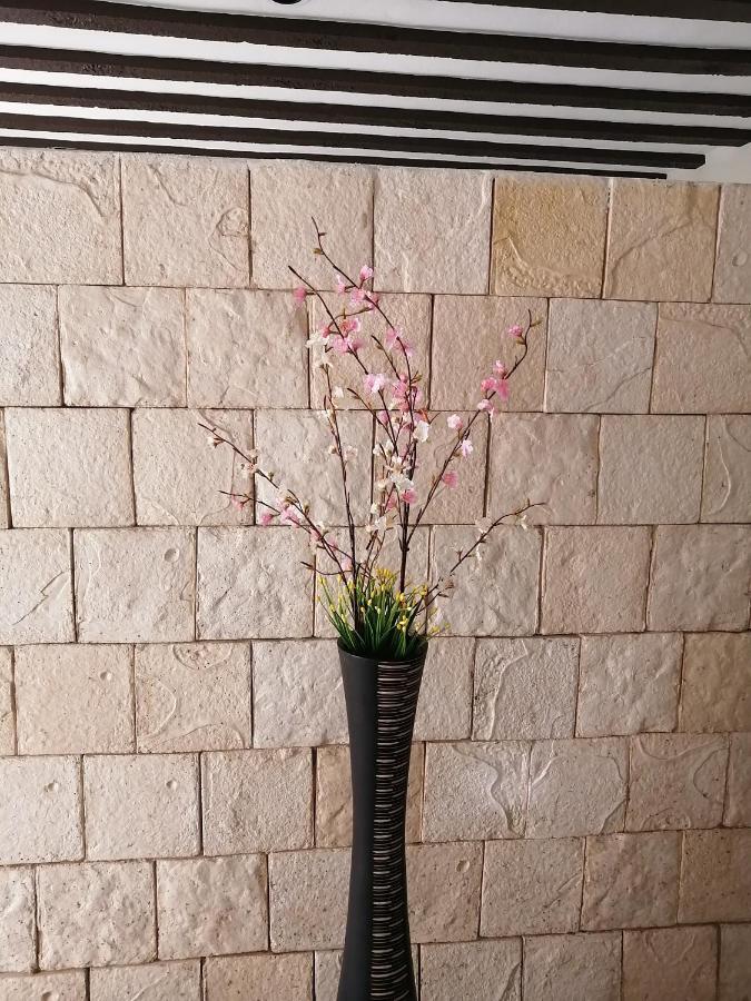Casa Mama Bety Apartment Valladolid  Ngoại thất bức ảnh